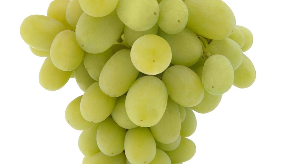 White Seedless Grapes