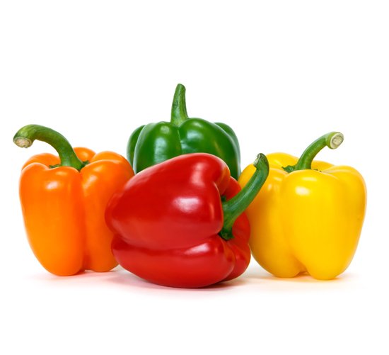 Capsicum